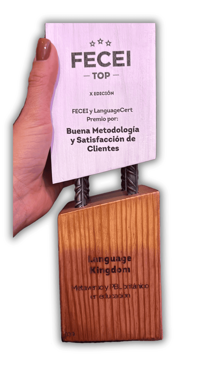 Metodología premio FECEI Top