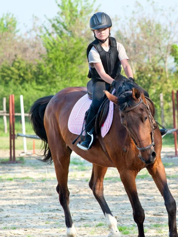 Niño montado a caballo en clases de equitación